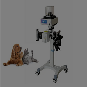 Máquina de anestesia inhalatoria veterinaria (sevoflurano) MSLBS281 con Ventilador