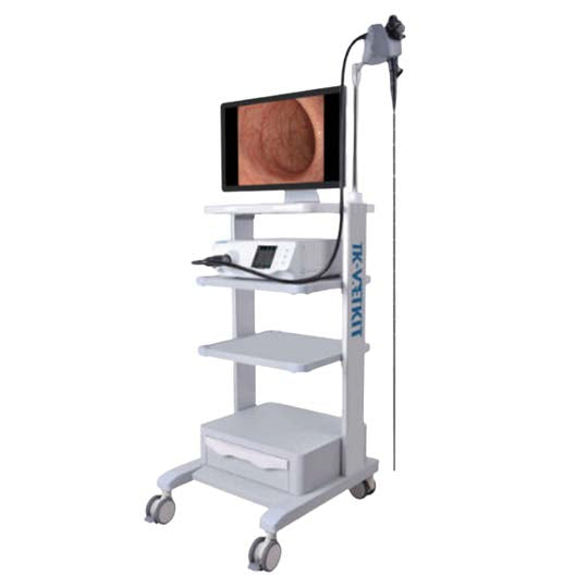 Torre de Endoscopia TK VETKIT GH 180